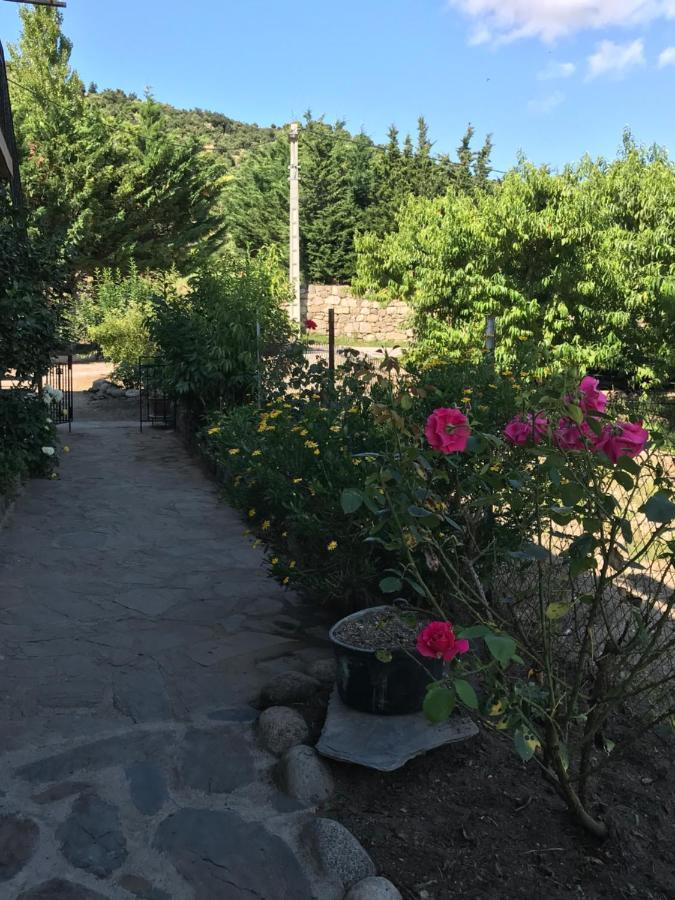 Apartmán Els Pirineus Moltig les Bains Exteriér fotografie