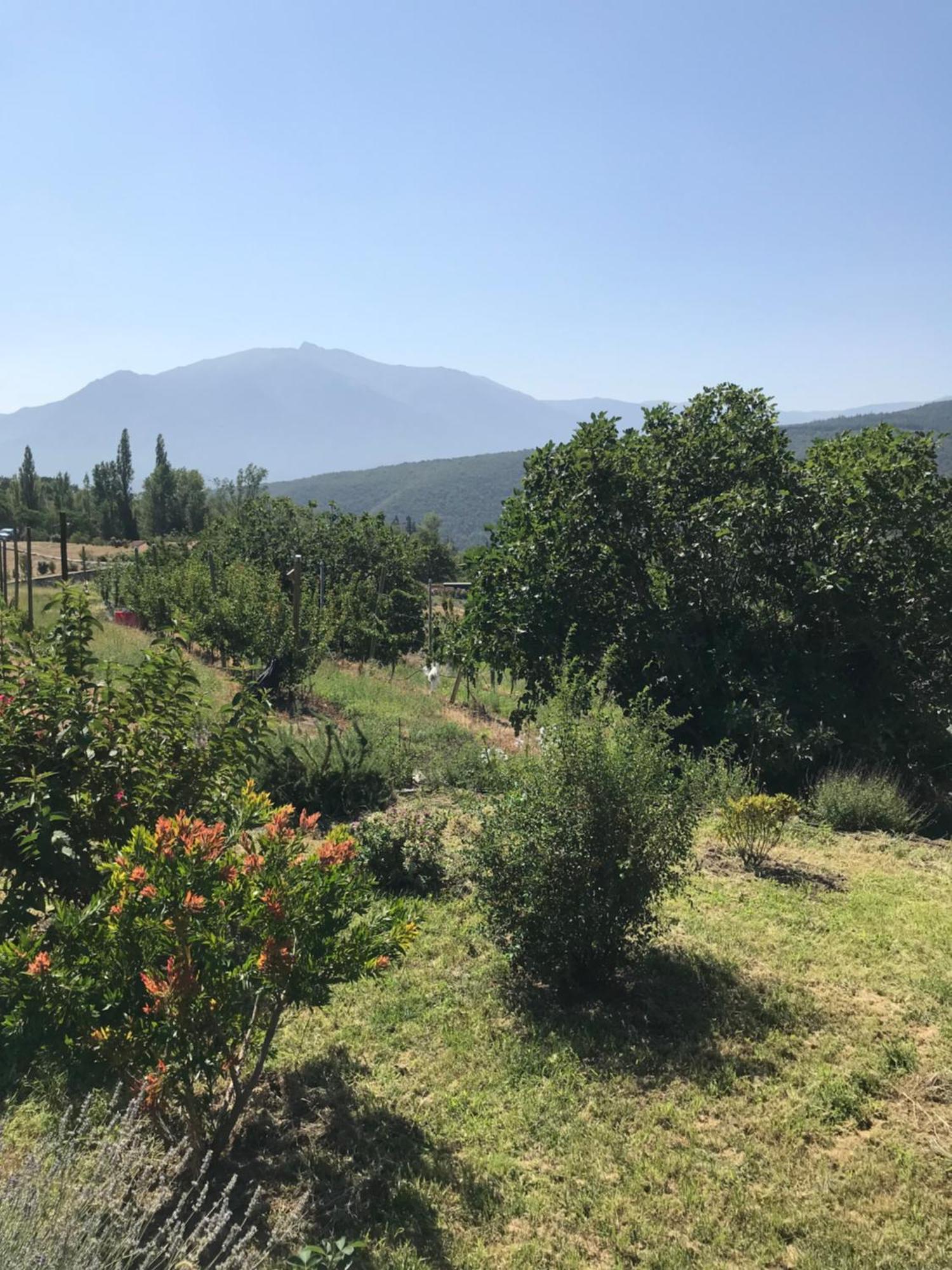 Apartmán Els Pirineus Moltig les Bains Exteriér fotografie